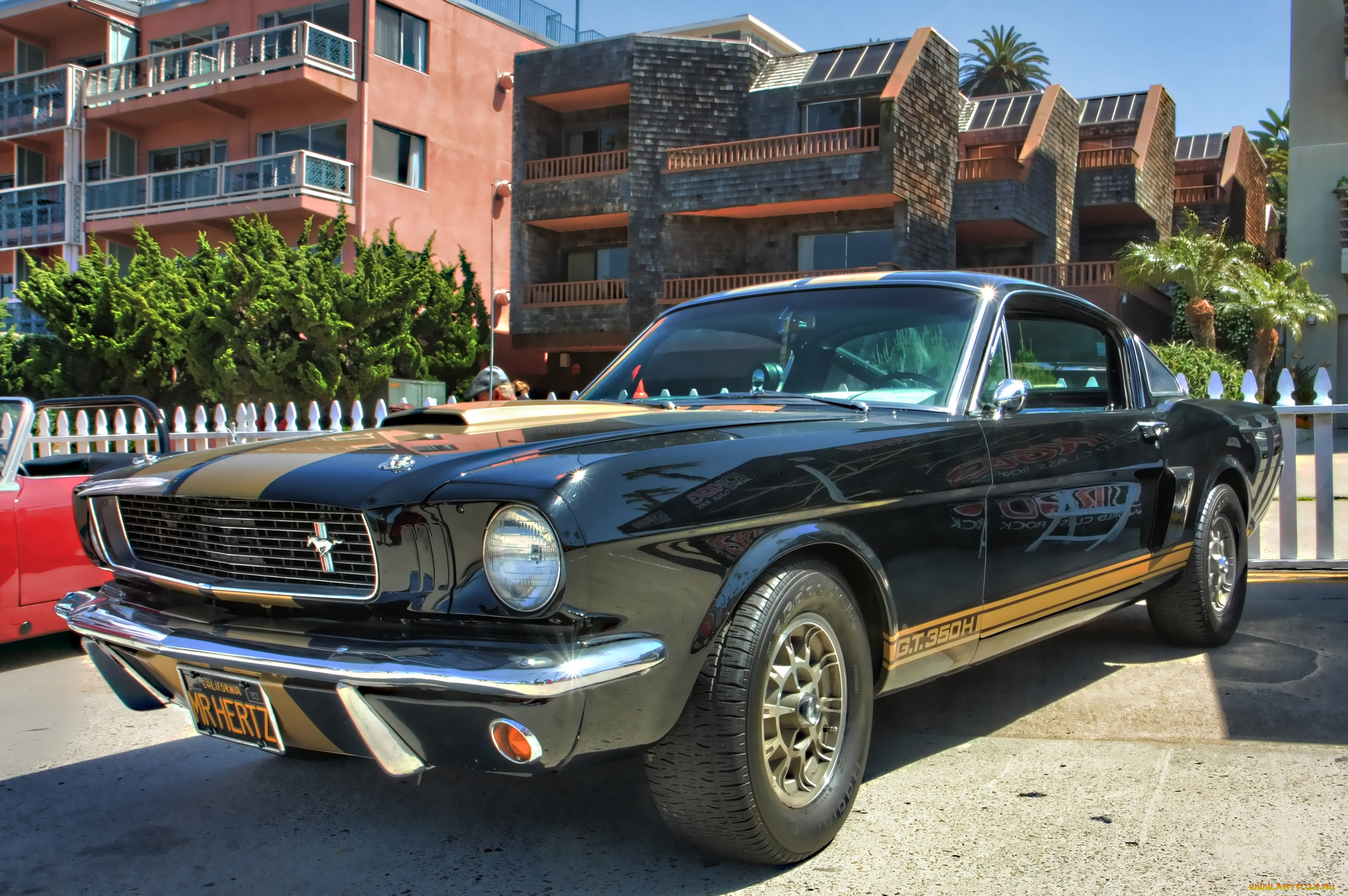 1966 ford mustang shelby gt350h, ,    , , 